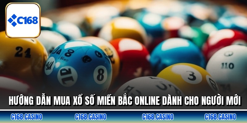 Hướng dẫn mua xổ số miền bắc online dành cho người mới